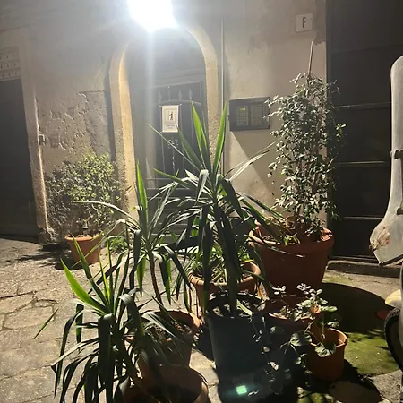 Lägenhet La Petite Catania